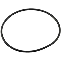O-Ring Filter D95mm (1x) - 7098652