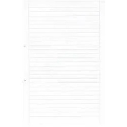 Ingold-Biwa, Heft + Block, Heftblatt mit seitlichen Randlinien A4, Liniert, 500 (A4, Liniert)