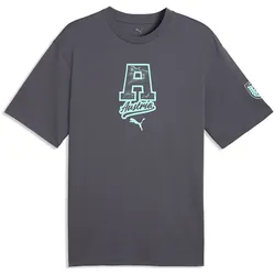 PUMA ÖFB Österreich ftblCulture Relaxed T-Shirt Herren 19 - galactic gray/mint melt XL
