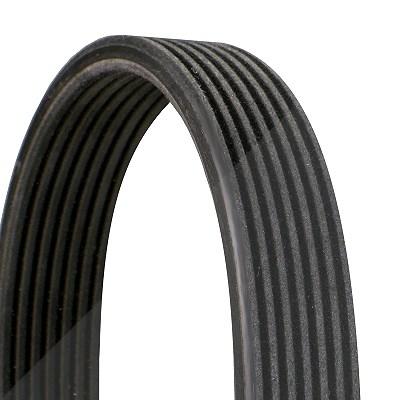 Continental Ctam Keilrippenriemen [Hersteller-Nr. 7DPK2074] für Audi, VW, Porsche