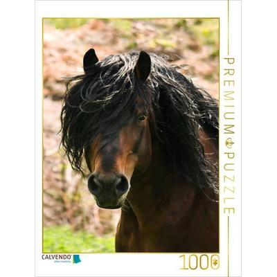 CALVENDO Puzzle Schwarzwälder Kaltbluthengst im Portrait | 1000 Teile Lege-Größe 64x48cm Foto-Puzzle für glückliche Stunden