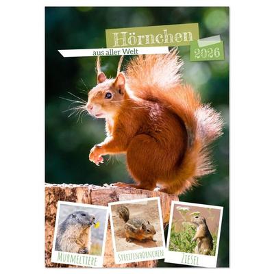Hörnchen aus aller Welt (Wandkalender 2026 DIN A3 hoch), CALVENDO Monatskalender
