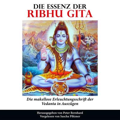 Die Essenz der Ribhu Gita - Peter Bernhard, Audio, 9783910247543