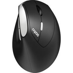 Rapoo EV250 Maus Kabellos Schwarz 3 Tasten 1600 dpi Ergonomisch R-13531