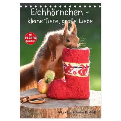 Eichhörnchen - kleine Tiere, große Liebe (Tischkalender 2027 DIN A5 hoch), CALVENDO Monatskalender