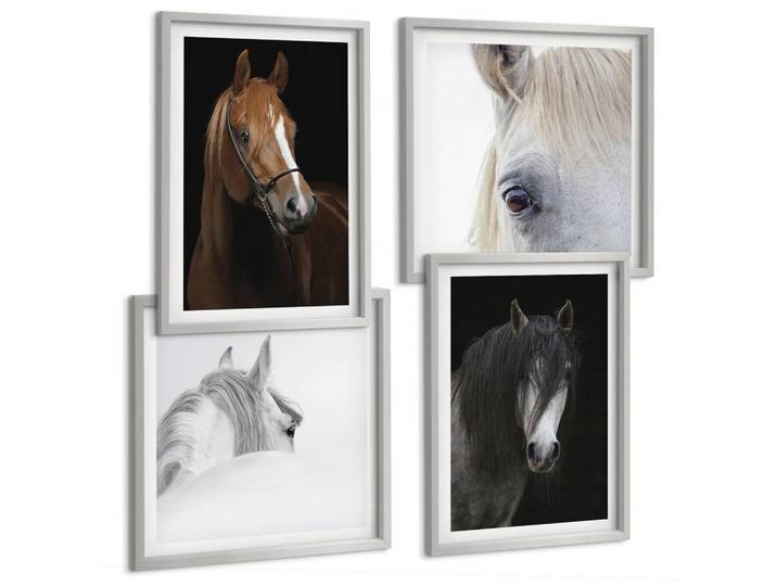 Tulup Bilder SET 4er Set - 50x50 cm & 40x60 cm Silberner Rahmen - Pferdeporträts in Schattierungen, Silberfarben, Kunststoff, Rechteckig, 50x50 cm, Fotografie, Bilder & Rahmen, Bilder