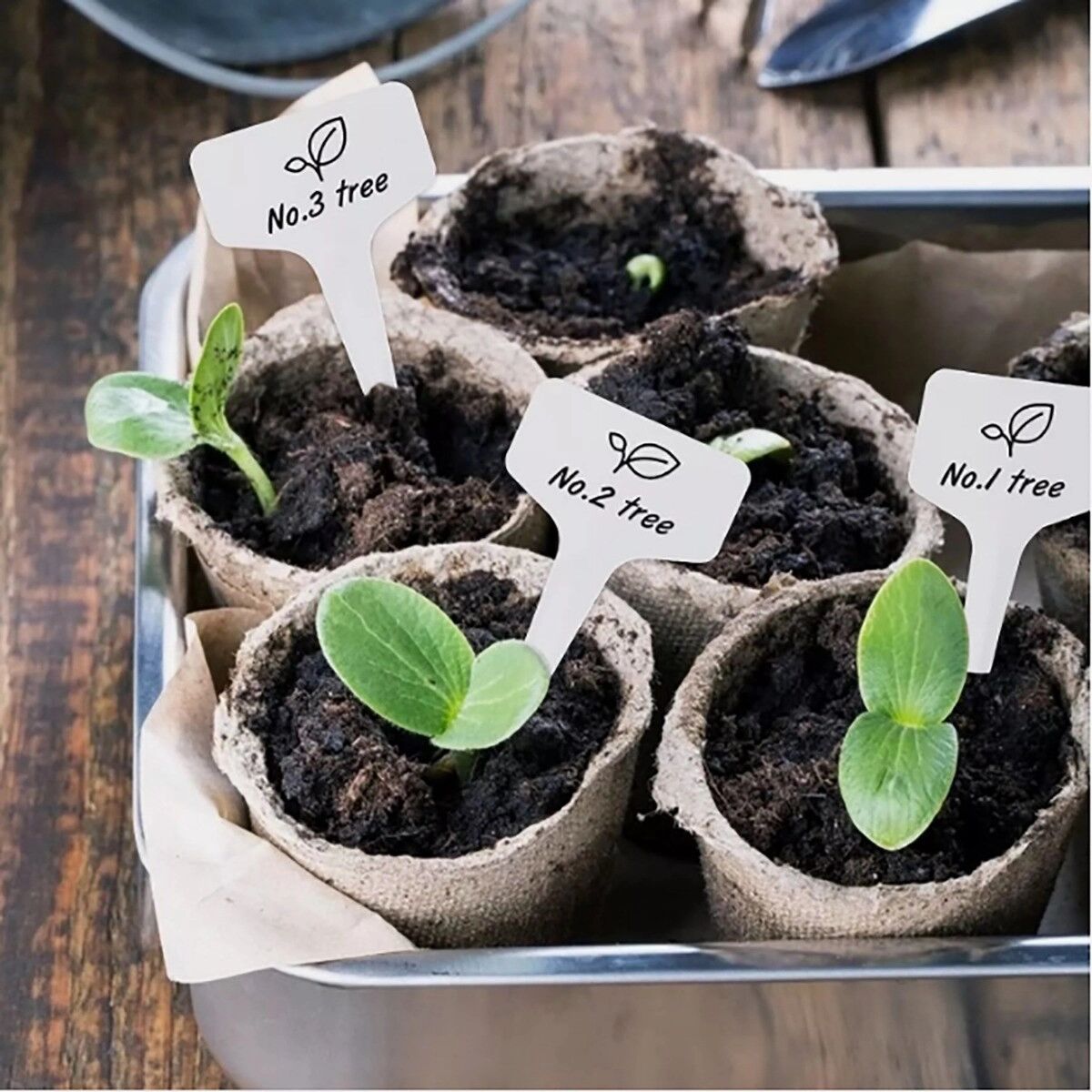 INF 10er-Pack Edelstahl T-Typ Pflanzenetiketten - Wiederverwendbare Gartenmarken für Zuhause und Topfpflanzen Weiß