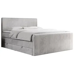 BOXSPRINGBETT KING DOREN 120/200 Hellgrau Velvet - H4