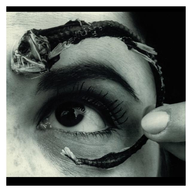 Rhino Disco Volante (Translucent Light Blue Vinyl) (Mr. Bungle) (62592378)