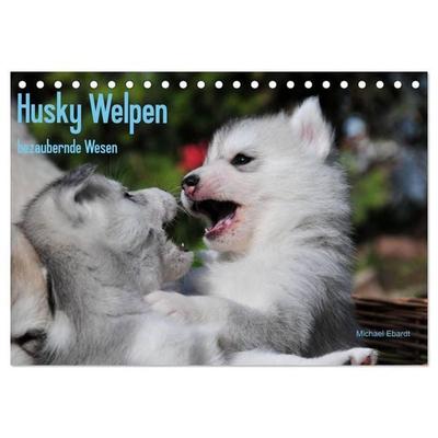 Husky Welpen (Tischkalender 2027 DIN A5 quer), CALVENDO Monatskalender