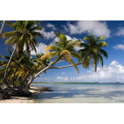 Papermoon "Strand mit Palmen"