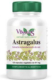 Vbyotics Astragalus Std Root 120 Vegetable Capsules