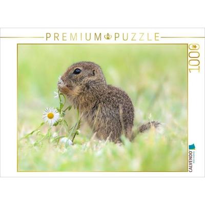 CALVENDO Puzzle Ziesel riecht an Blume | 1000 Teile Lege-Größe 64x48cm Foto-Puzzle für glückliche Stunden