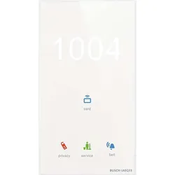 Busch-Jaeger Raumaussensensor TSM/U.2.11-CG