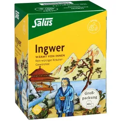 INGWER KRÄUTER-GEWÜRZTEE-Mischung Bio Salus Fbtl.