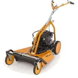 AS Motor AS 62 4T Briggs & Stratton