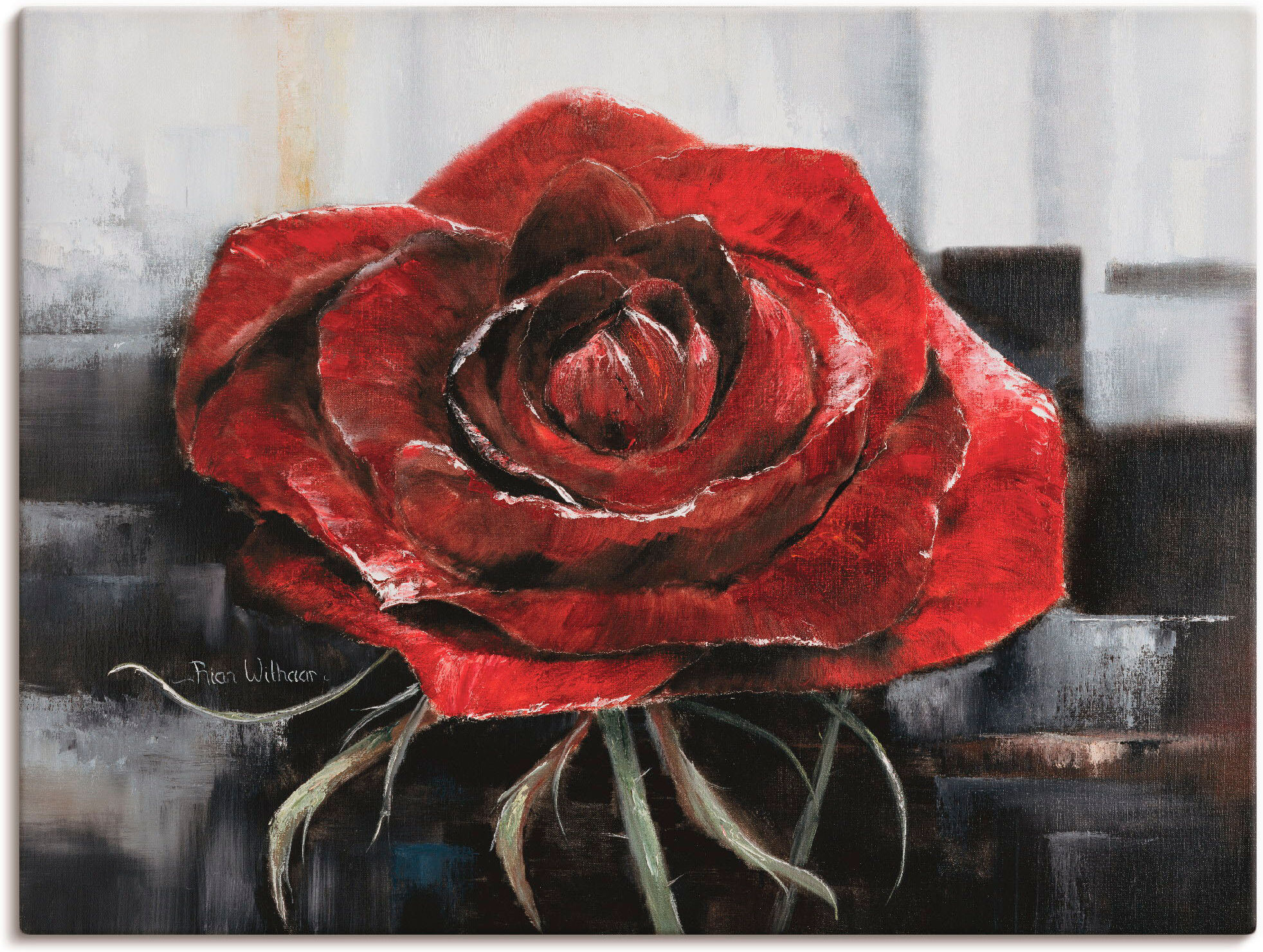 Leinwandbild ARTLAND "Blühende rote Rose", rot (farbe bild(er): rot), B:80cm H:60cm, Bilder, Leinwandbild, auf Holzrahmen gespannt farbe bild(er): rot B/H/T: 80cm x 60cm, Leinwandbild Blumen Querformat, 1 Stk.