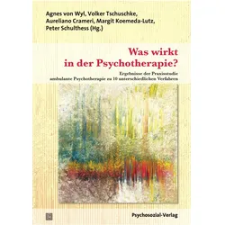 Was wirkt in der Psychotherapie?, Fachbücher von Agnes von Tschuschke Wyl, Peter Schulthess, Volker Tschuschke, Hugo Grünwald, Margit Koemeda-Lutz, Aureliano Crameri, Mario Schlegel, Peter Müller-Locher