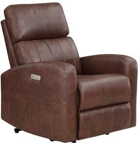 Fremont & Park Antonio Faux Leather Power Lift Recliner with One-Touch Control