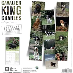 Martin Sellier, Kalender, Cavalier King Charles