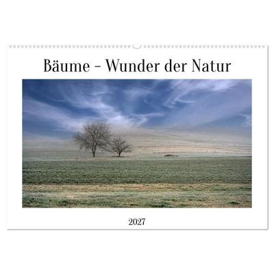 Bäume - Wunder der Natur (Wandkalender 2027 DIN A2 quer), CALVENDO Monatskalender