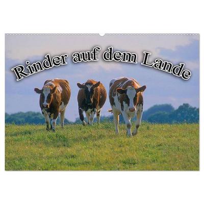 Rinder auf dem Lande (Wandkalender 2026 DIN A2 quer), CALVENDO Monatskalender