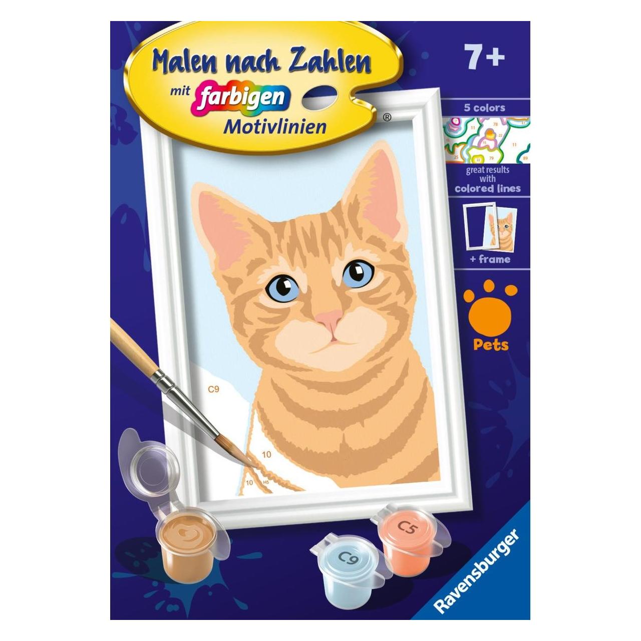 Ravensburger Malen nach Zahlen 23756 - Niedliche Katze - Kinder ab 7 Jahren (23756)