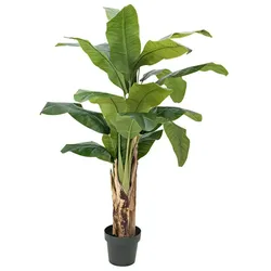 EUROPALMS Bananenbaum, Kunstpflanze, 120cm