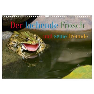 Der lachende Frosch und seine Freunde (Wandkalender 2026 DIN A3 quer), CALVENDO Monatskalender