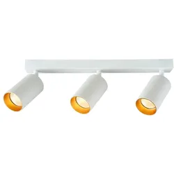 Tracon, Deckenstrahler, Deckenstrahler (GU10)