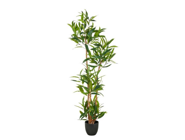 Ficus Maclellandii artificiel 45 x 150 x 45cm
