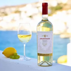 Botter 2024 Cielo e Terra Appassionate Bianco Veneto 2024 Garganega,Pinot Grigio,Sauvignon Blanc Italien