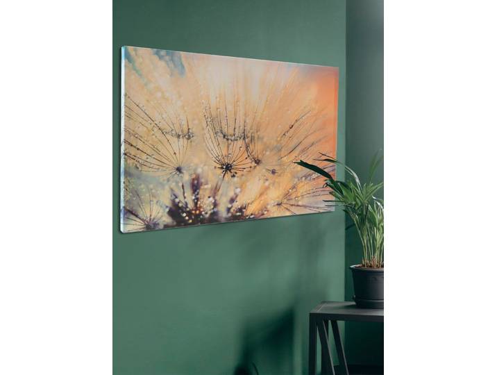 Leinwandbild mit Zertifikat, Bunt