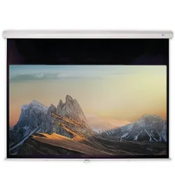 DELUXX Advanced Rolloleinwand Slowmotion 4:3 Mattweiss Polaro 234 x 175 cm