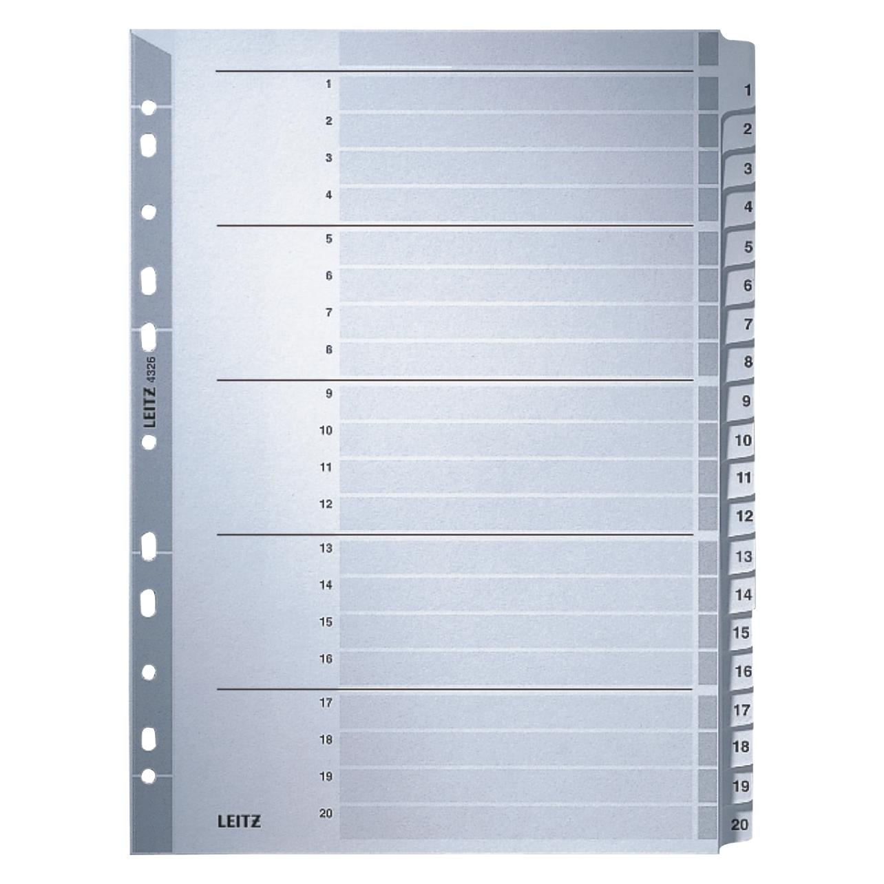 Leitz Register Karton (4326-00-00)