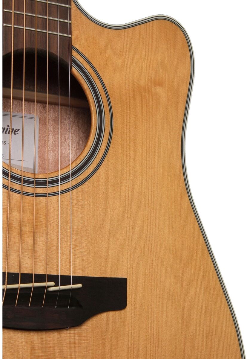 Takamine GD20CE-N