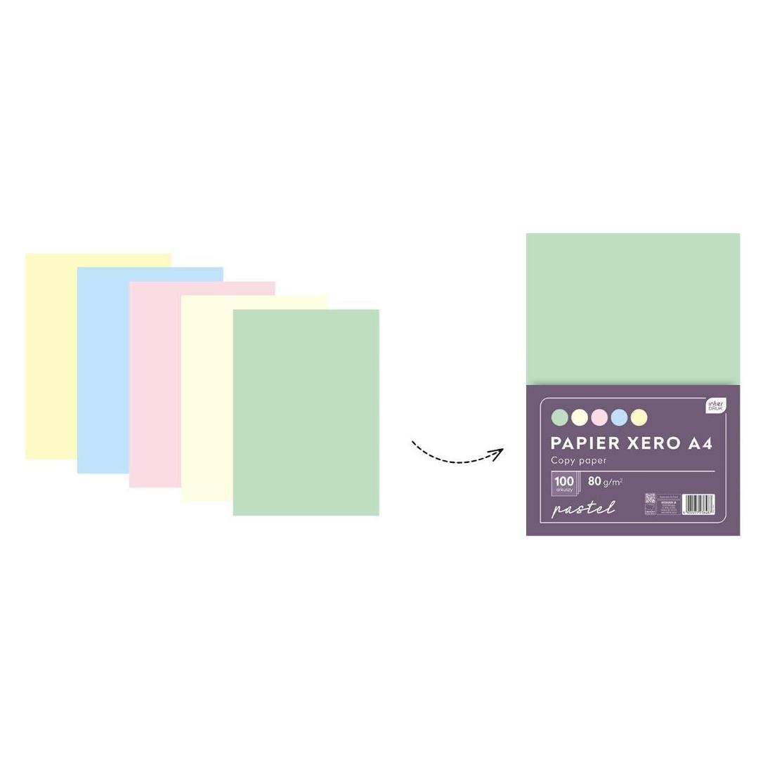 Interdruk A4/100 Kopierpapier 5 Farben Pastell x 20K (A4, 100 Blätter) (35546154)