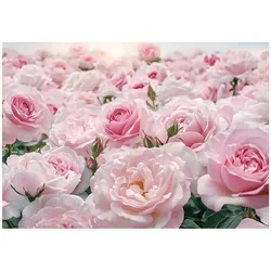 FOTOTAPETE Blumen Rosen Wohnzimmer Vlies Tapete 300x210