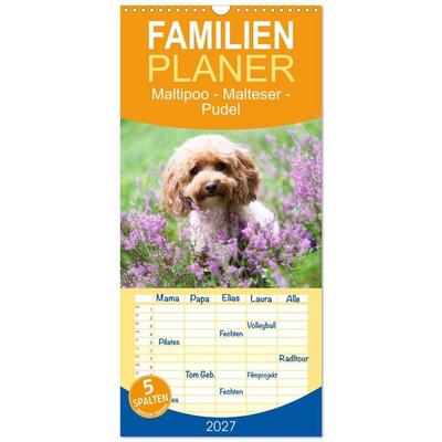 Familienplaner 2027 - Maltipoo - Malteser -Pudel mit 5 Spalten (Wandkalender, 21 x 45 cm) CALVENDO