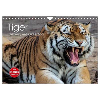 Tiger. Gestreift, wild und schön (Wandkalender 2027 DIN A4 quer), CALVENDO Monatskalender