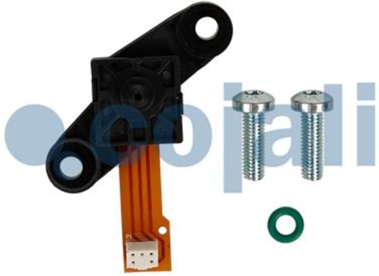 Sensor COJALI 2262081