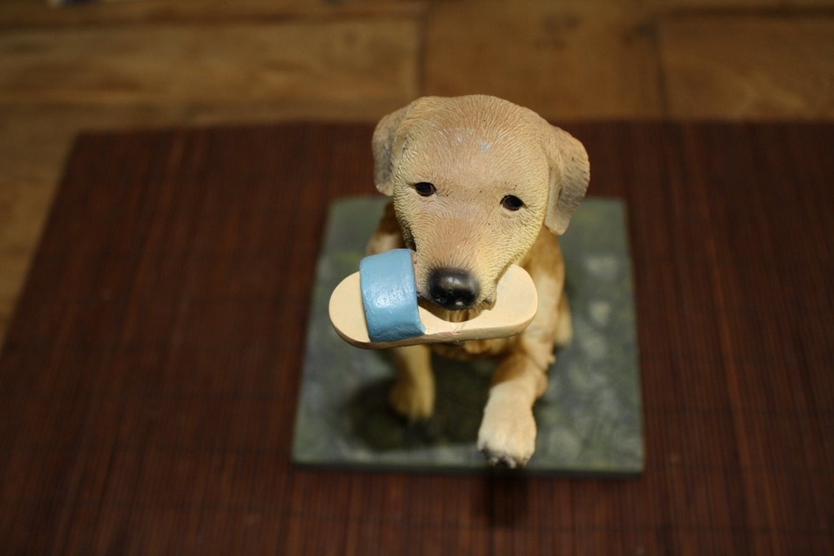 Golden Retriever Tabletop voor volwassenen