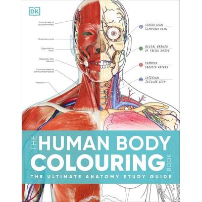 The Human Body Colouring Book, Taschenbuch von DK, Dorling Kindersley, 978-0-241-66453-7