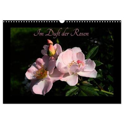 Im Duft der Rosen (Wandkalender 2026 DIN A3 quer), CALVENDO Monatskalender