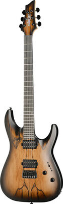 Schecter C-1 Pale Moon SNBB Natural Black Burst matt