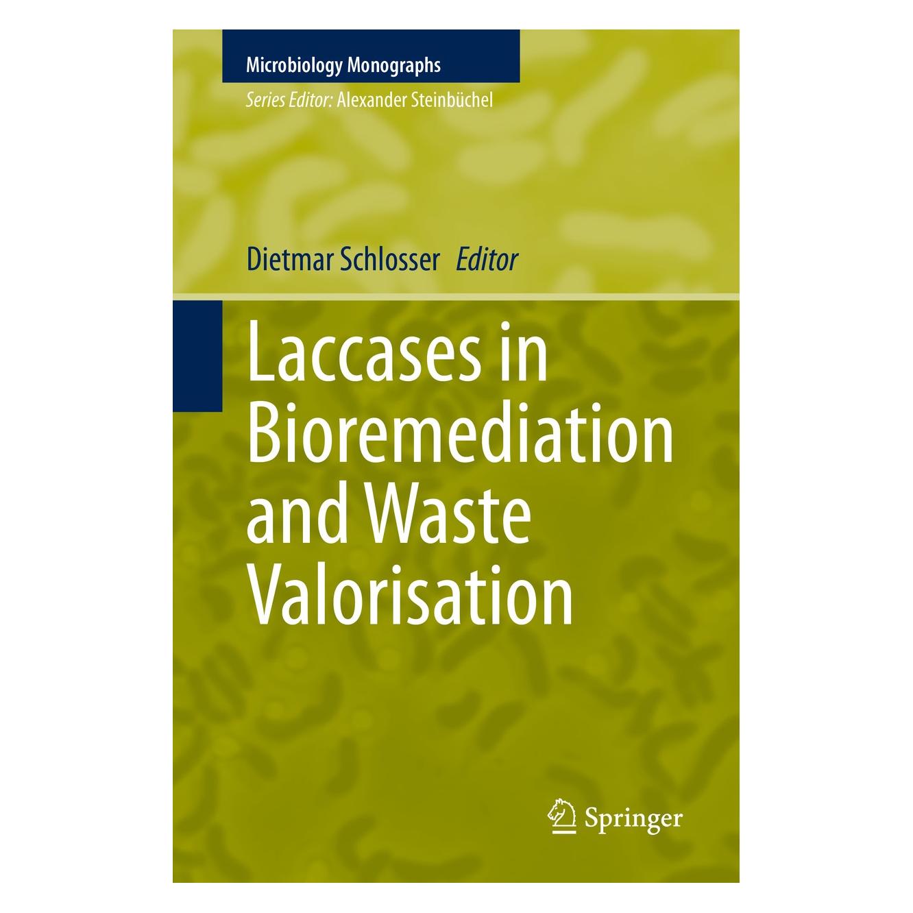 Springer Laccases in Bioremediation and Waste Valorisation (Englisch, Hardcover, Dietmar Schlosser) (9783030479053)