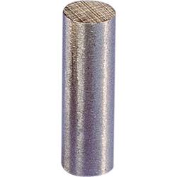 CONRAD Permanent-Magnet Stab (Ø x L) 6 mm x 24 mm AlNiCo 1.25 T (max) 503673