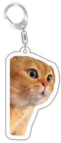 Perfect Picks Market Funny Cat Meme Keychain For Bags And Backpacks Cute Gift For Cat Lovers style 8