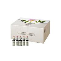 BACHBLÜTEN 10 ml Set Tropfen 400 ml