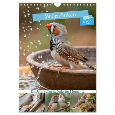 Zebrafinken - Ein Jahr voller gefiederter Momente (Wandkalender 2027 DIN A4 hoch), CALVENDO Monatskalender